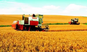 湖北将组建千湖之省现代农业集团 目标千亿产值