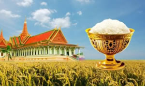 中国农业科技将走进东南亚