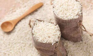 东北米价普涨 加工利润未有实质改善