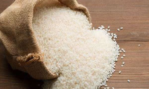 四川遂宁举行西部粮食安全合作会