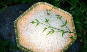 2016年我国夏粮再获丰收的背后