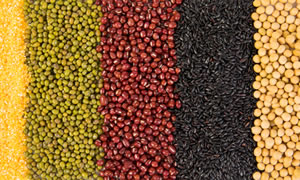 一日三餐，如何分配才更科学更营养？