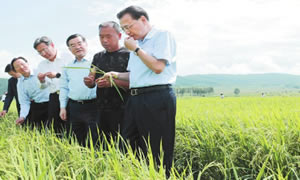 李克强总理这次着重点名稻花香！